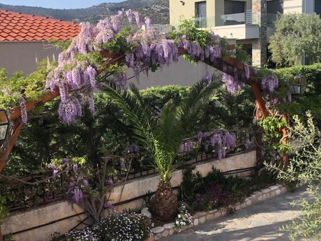 Aegean Villas Potos Dış mekan fotoğraf